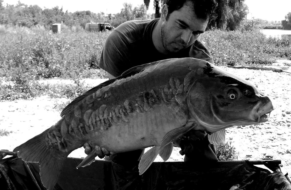 Dolofani - dsc04151.jpg